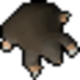 baby_mole.png