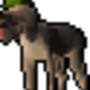 bloodhound.png