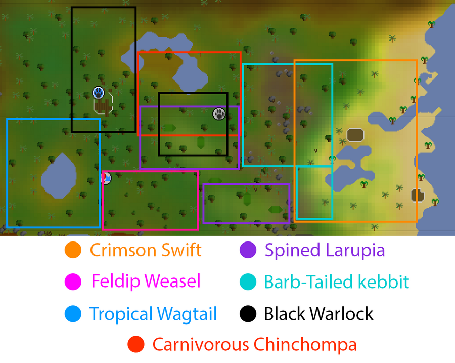 hunter_map_jungle.png