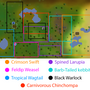 hunter_map_jungle.png