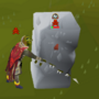 pking_guide.png